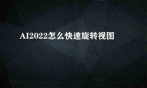AI2022怎么快速旋转视图
