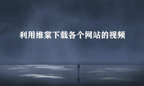 利用维棠下载各个网站的视频