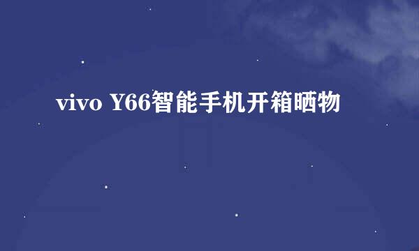 vivo Y66智能手机开箱晒物