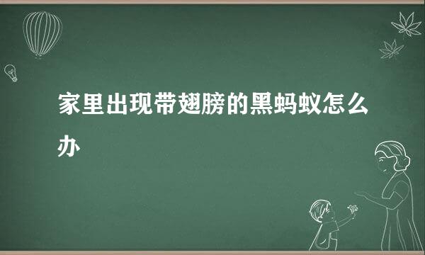 家里出现带翅膀的黑蚂蚁怎么办