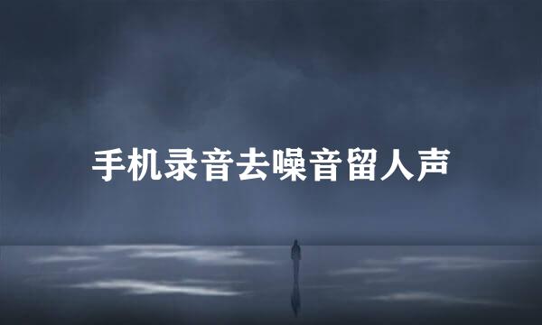 手机录音去噪音留人声