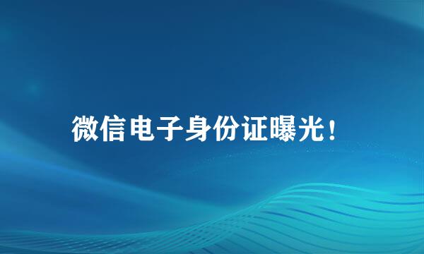 微信电子身份证曝光！