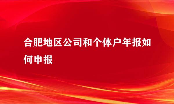 合肥地区公司和个体户年报如何申报