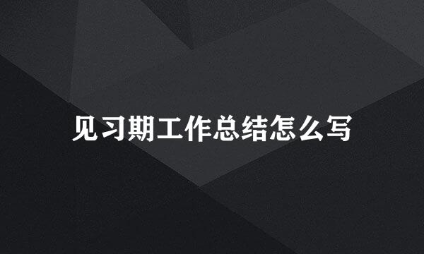 见习期工作总结怎么写