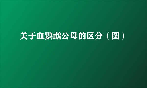 关于血鹦鹉公母的区分（图）