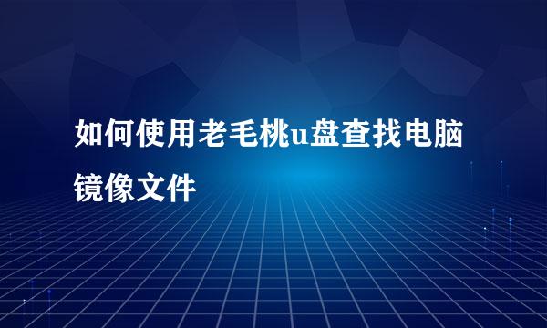 如何使用老毛桃u盘查找电脑镜像文件