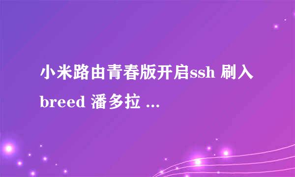 小米路由青春版开启ssh 刷入breed 潘多拉 drcom