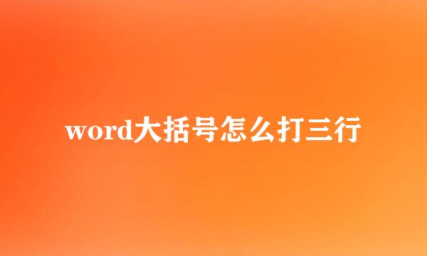 word大括号怎么打三行