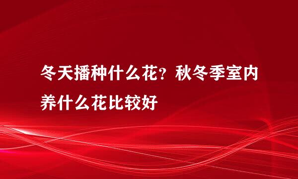 冬天播种什么花？秋冬季室内养什么花比较好