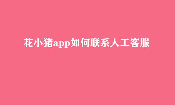 花小猪app如何联系人工客服
