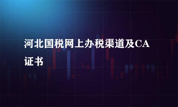 河北国税网上办税渠道及CA证书