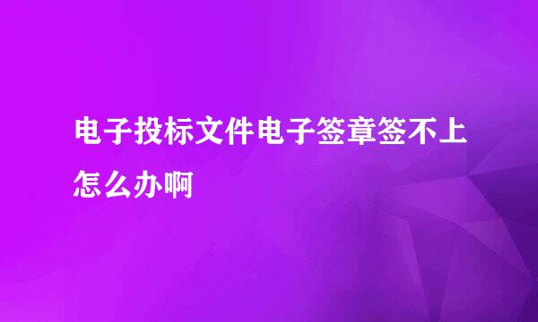 电子投标文件电子签章签不上怎么办啊