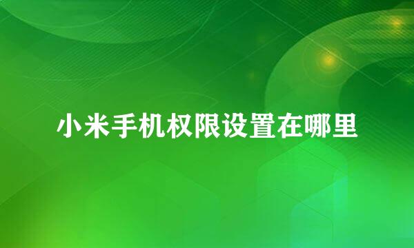 小米手机权限设置在哪里