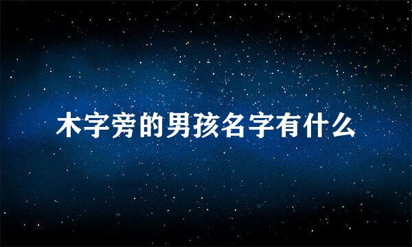 木字旁的男孩名字有什么