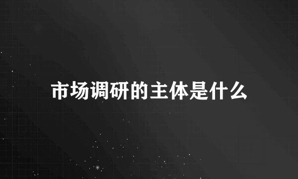 市场调研的主体是什么