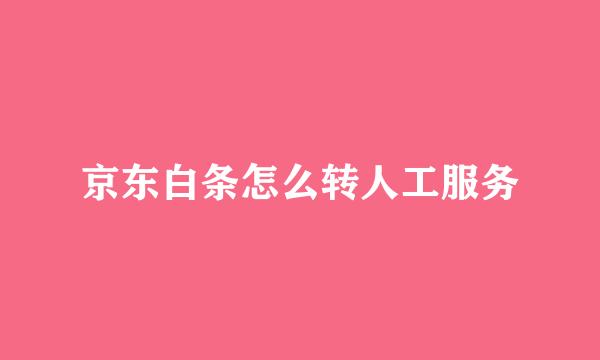 京东白条怎么转人工服务