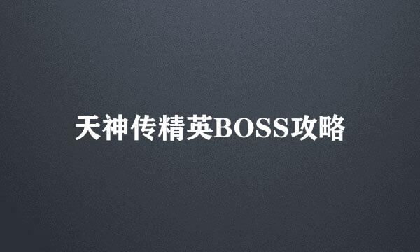天神传精英BOSS攻略
