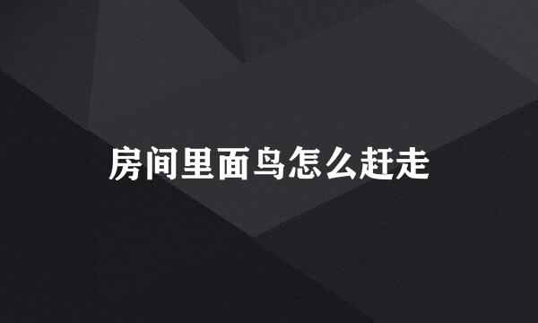 房间里面鸟怎么赶走