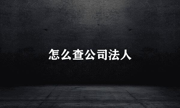 怎么查公司法人