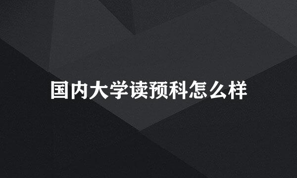 国内大学读预科怎么样