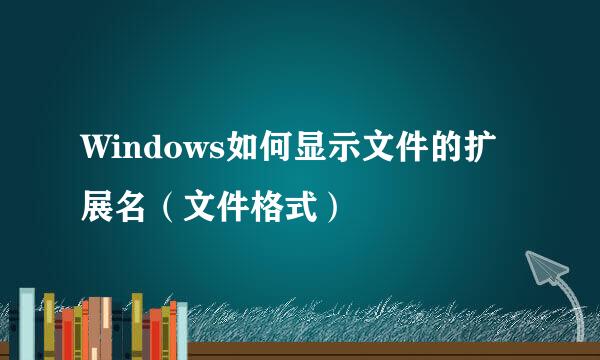 Windows如何显示文件的扩展名（文件格式）