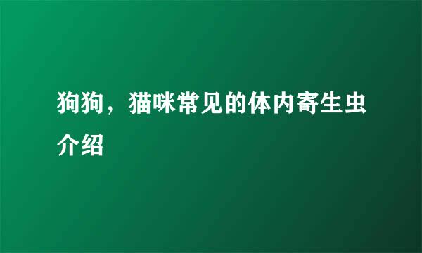 狗狗，猫咪常见的体内寄生虫介绍