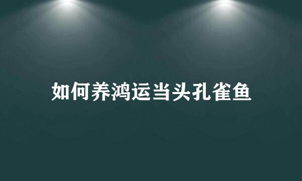 如何养鸿运当头孔雀鱼