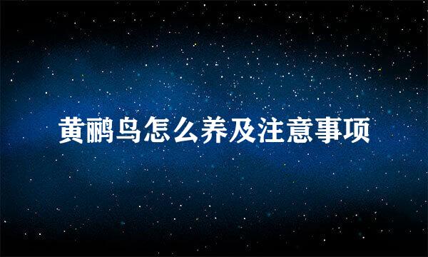 黄鹂鸟怎么养及注意事项
