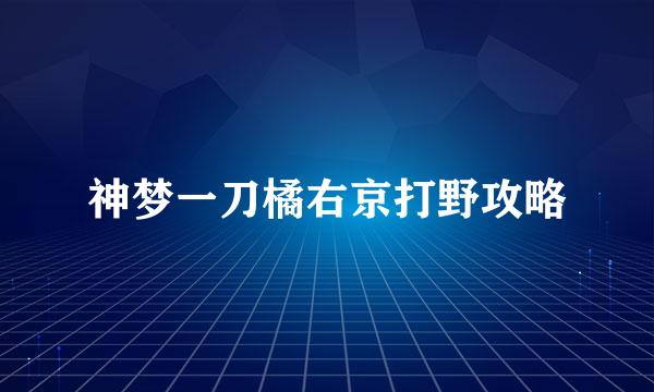 神梦一刀橘右京打野攻略