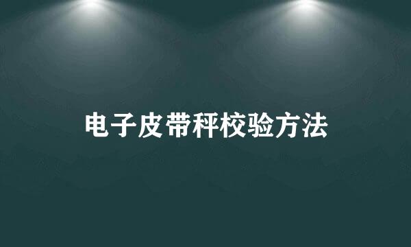 电子皮带秤校验方法