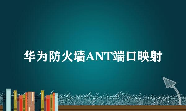 华为防火墙ANT端口映射