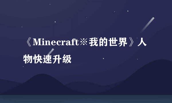 《Minecraft※我的世界》人物快速升级