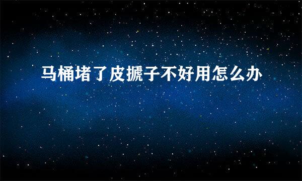 马桶堵了皮搋子不好用怎么办