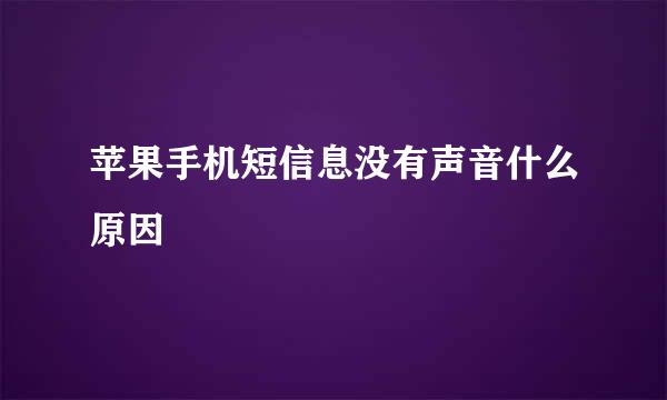 苹果手机短信息没有声音什么原因