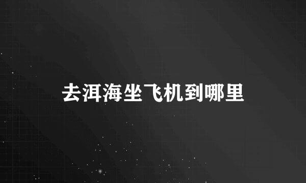 去洱海坐飞机到哪里
