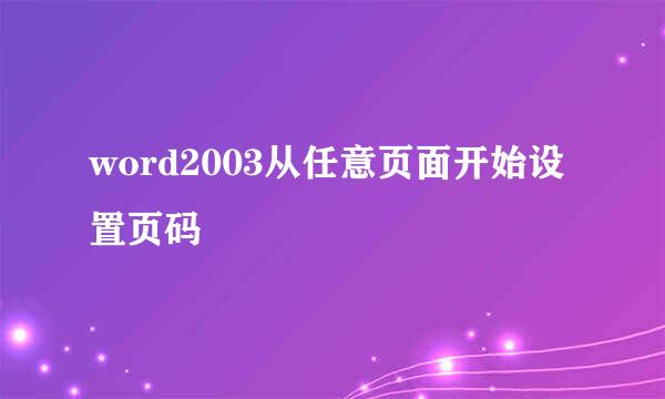 word2003从任意页面开始设置页码
