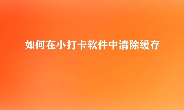 如何在小打卡软件中清除缓存