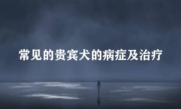 常见的贵宾犬的病症及治疗