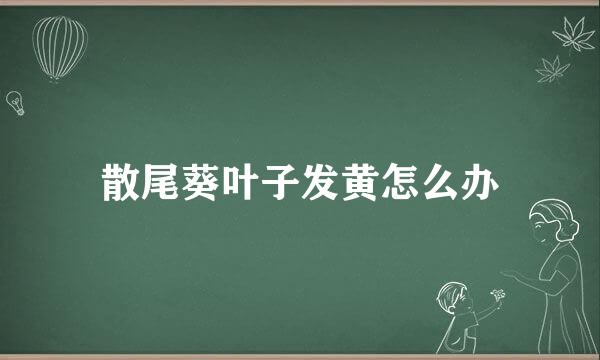 散尾葵叶子发黄怎么办