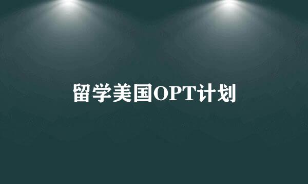 留学美国OPT计划