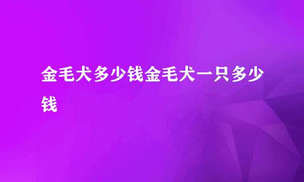 金毛犬多少钱金毛犬一只多少钱