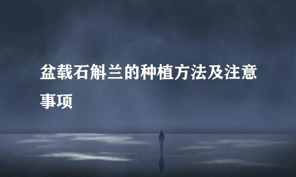 盆载石斛兰的种植方法及注意事项