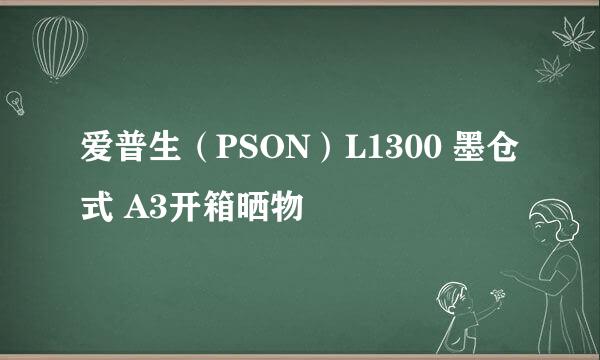 爱普生（PSON）L1300 墨仓式 A3开箱晒物