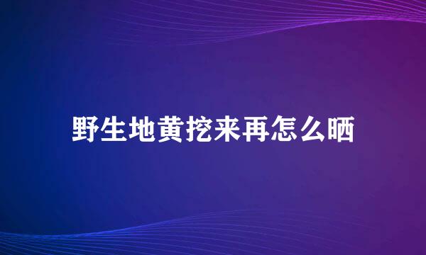 野生地黄挖来再怎么晒