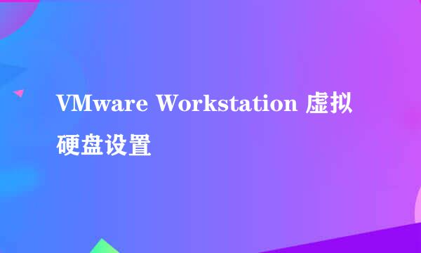 VMware Workstation 虚拟硬盘设置