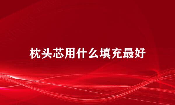 枕头芯用什么填充最好