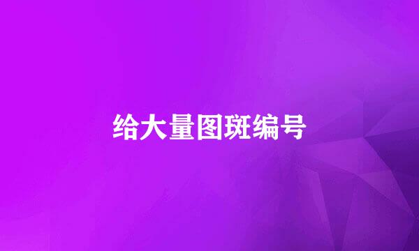给大量图斑编号