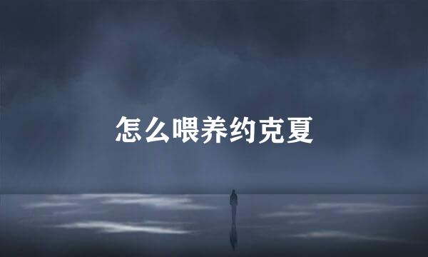 怎么喂养约克夏