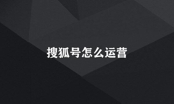 搜狐号怎么运营