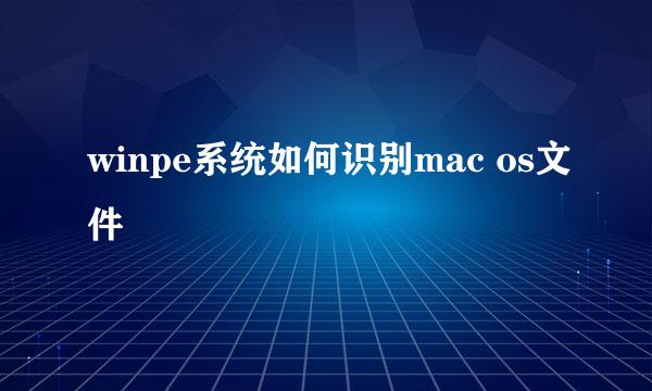 winpe系统如何识别mac os文件
